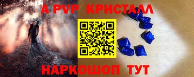 крисы Моздок