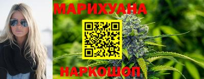крисы Моздок