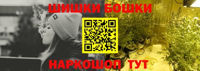 крисы Моздок
