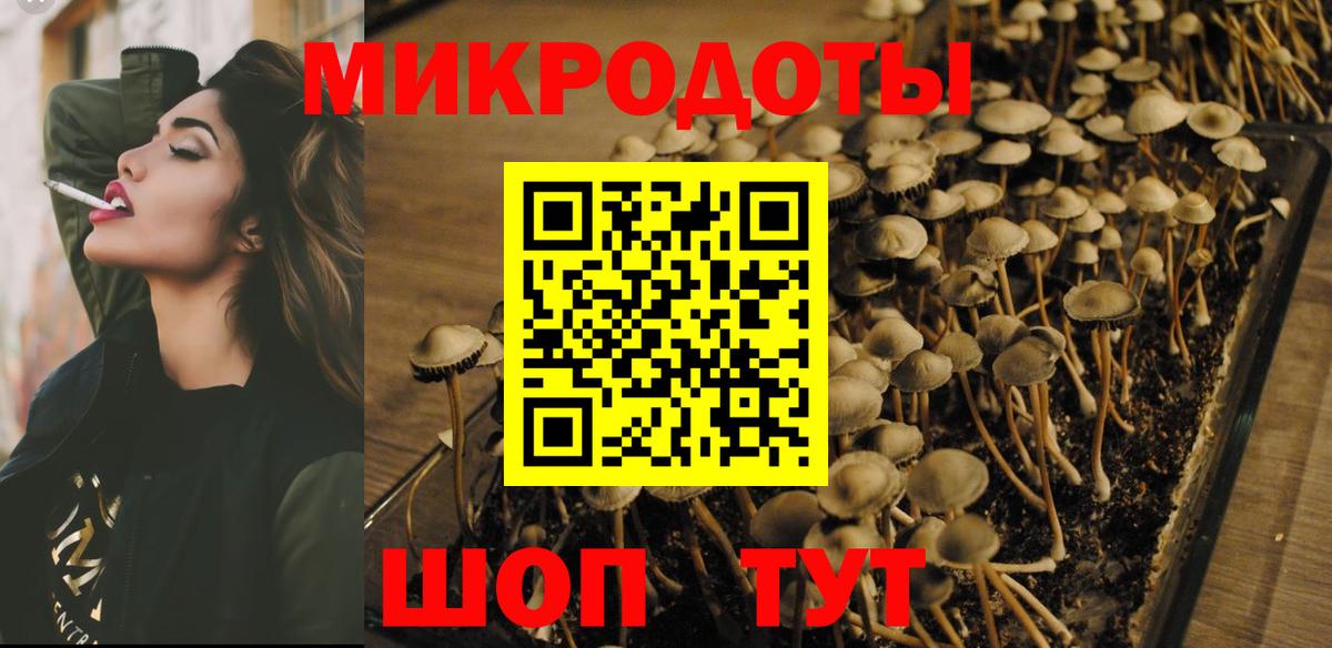 Удомля  Галлюциногенные грибы мухоморы  Вход с VPN 